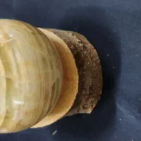 گوی طبیعی آمیتیس ، چشم ببر ، مرمر ، لاجورد