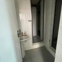 تجاری طبقه پایین/جهت آموزشگاه،دفتر اداری،آرایشگاه|اجارهٔ دفتر کار، اتاق اداری، مطب|سیرجان, |دیوار