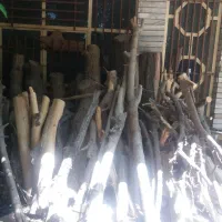 شومینه چوب هیزم نارنج