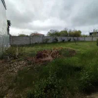 310 متر زمین مسکونی امیر کیاسر کیاشهر، مالک هستم|فروش زمین و ملک کلنگی|کیاشهر, |دیوار