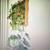 استند گل تمام چوب دیواری با کیفیت سفارشی ساخت