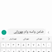 ضامن میخوام