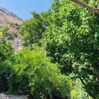 سویت اجاره ای ریوگاررحمانی دشه