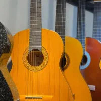 فروش گیتار های ایرانی با کیفیت بالا پیکابدار