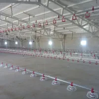 دانخوری بشقابی و زنجیری