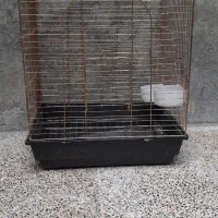 قفس پرنده