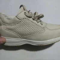 کفش GEOX و ecco