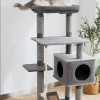 ساخت و اجرای درخت گربه و اسکرچر