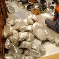 باربری شرق تهران تهرانپارس پیروزی حکیمیه نارمک|خدمات حمل و نقل|تهران, نیروی هوایی (پیروزی)|دیوار