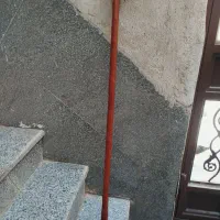 چوب ارژن