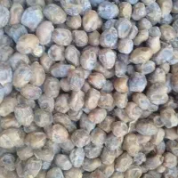 حراج التمر گنطار و فرسی الکیلو ملیون و میتن