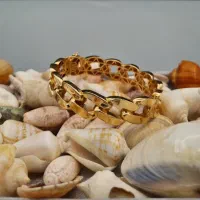 دستبند فیوژن کارتیر