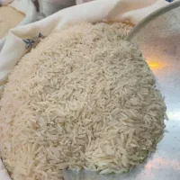 برنج تعاون|خوردنی و آشامیدنی|تاکستان, |دیوار