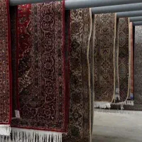 قالیشویی معتبر در سوهانک ازگل لویزان شیان اراج