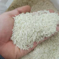 برنج کشت دوم بهنام