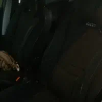 207 مدل 99|خودرو سواری و وانت|کرمان, |دیوار