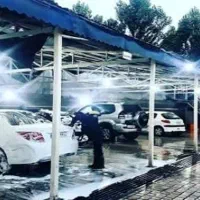 نیروی کار برای کارواش