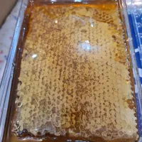 فروش عسل منطقه پادنا (پای کوه دنا)|خوردنی و آشامیدنی|سمیرم, |دیوار