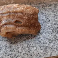 سنگ