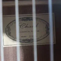 gitar chaard|گیتار، بیس، امپلیفایر|یاسوج, |دیوار