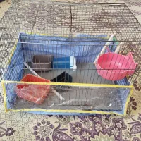 قفس پرنده