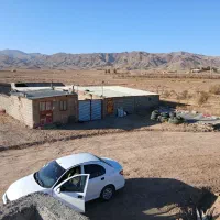 فروش محوطه گاوداری|فروش دفتر صنعتی، کشاورزی، تجاری|قائن, |دیوار