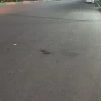 ساده مفت مفت