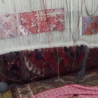 فرش نیمه کاره چهار نقشه بافته شده با تمام مصالح