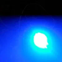 چراغ پلیسی|لامپ و چراغ|بجنورد, |دیوار