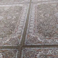 فرش|فرش|مریوان, |دیوار