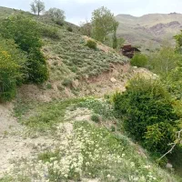 فروش زمین|فروش زمین و ملک کلنگی|رینه, |دیوار