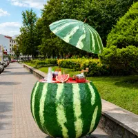ساخت گاری با طراحی های جدید و خلاقانه
