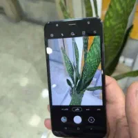 رینگ ولاستیک دوچرخه|دوچرخه، اسکیت، اسکوتر|خاش, |دیوار