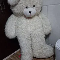 عروسک|اسباببازی بچه|قم, حقیقت|دیوار