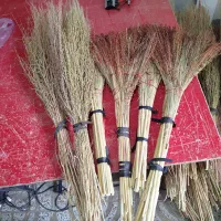 جارو خانگی و حیاط
