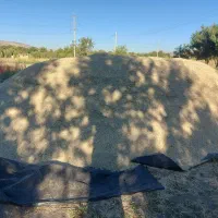 علف خرمنکوب شده خیلی ریز