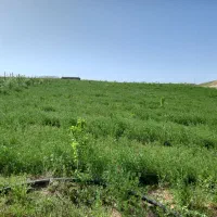 فروشی|فروش دفتر صنعتی، کشاورزی، تجاری|اهر, |دیوار