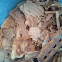 نان خشک بربری