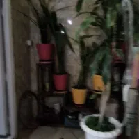ویلایی استخر دار ۲۶۵متر /خیابان بهشت پشت کلانتری