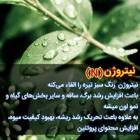 قرص کود ارگانیک معجزه ای برای رشد گیاهان|گل و گیاه طبیعی|شهریار, شهریار|دیوار