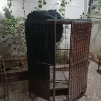 قفس تمام آهن مسقف با صفحه آهنی|ماشین‌آلات صنعتی|اهواز, بهارستان|دیوار