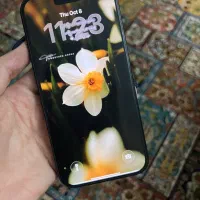 ایفون ۱۵ نرمال