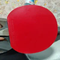 راکت پینگ پنگ|ورزشهای توپی|بوشهر, |دیوار