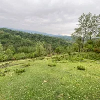 زمین روستایی (1500متری کوهپایه)  در شهرستان سیاهکل|فروش زمین و ملک کلنگی|رشت, گیل|دیوار