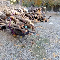 چوب درخت|عمدهفروشی|فشم, |دیوار