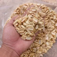 بادام زمینی مخصوص کره گیری