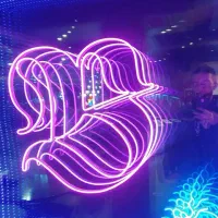 تابلو نئون  ، نور پردازی داخلی|خدمات پیشه و مهارت|تهران, سهروردی|دیوار