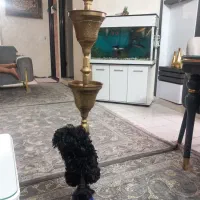 قلیون عربی
