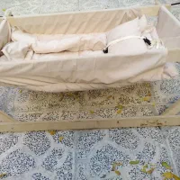 ننو نوزاد|تخت و سرویس خواب|گرگان, |دیوار