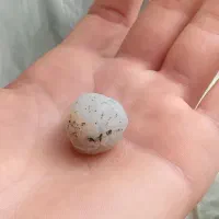 نشان عقیق|کلکسیون اشیاء عتیقه|رشت, منظریه|دیوار